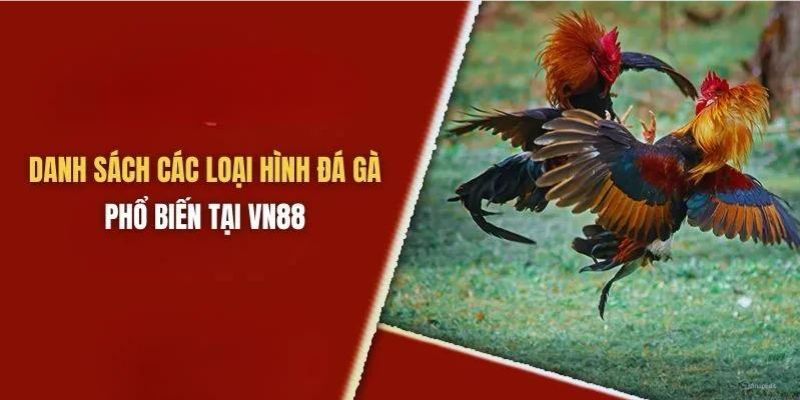 Các thể loại đá gà VN88 thịnh hành nhất hiện tại